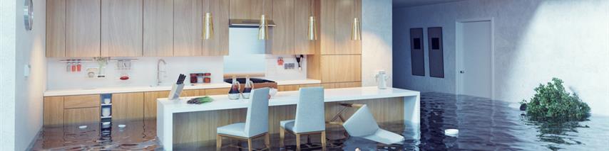 Shutterstock 239531266